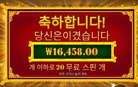5라이온 리본 후기