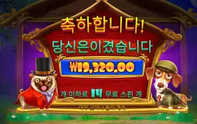 스핀은 괜찬게 받았는데
