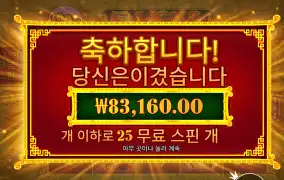 5라이언리본 25개스핀