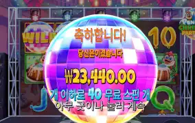 펭귄 추가스핀 이렇게 주고
