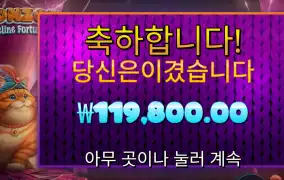 폰조는 굿