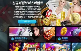 뉴헤븐후기