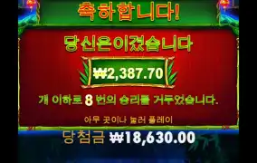 오늘도 당했네 당했어 ㅜㅜ