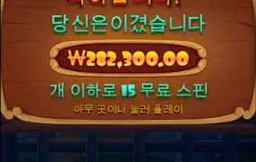 가입후 5연패 출금0