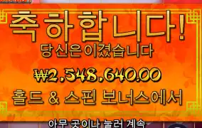 간만에 플로팅 드라곤