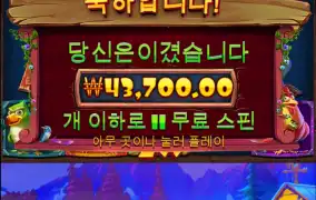 우드 소액러 닭집,오라메바닥 굿스타트