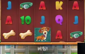 알 후기ㅠ또 링