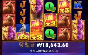 버팔로 메가 맥스윈 5000배 첫당첨 !!!