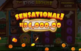 독끼하우스메가웨이스