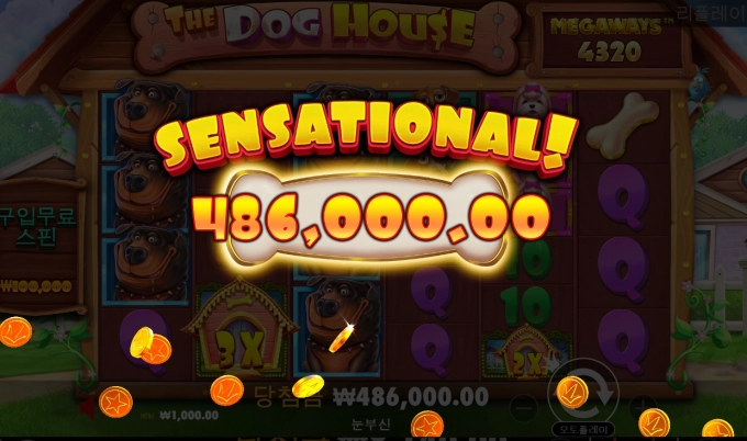더_도그_하우스_메가웨이스.png