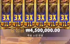 생에 첫 맥스윈