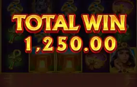 개좆같아 못하는 레이비