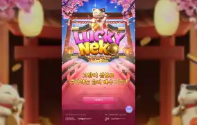 피지 슬롯 리뷰