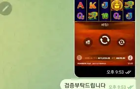 때론 정품이 아닌~