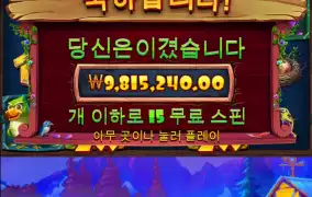 올림푸스 닭집 천배