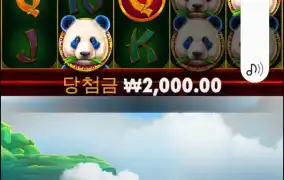 판다2. 5000배 왜떴는지아시는분?