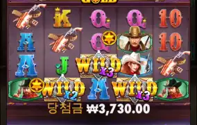 와일드 웨스트 골드 477배