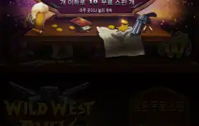 와일드웨스트듀얼