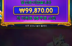 별빛공주 500배 나이스