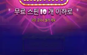 슈가1000