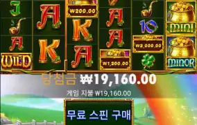 와와리메가 시작