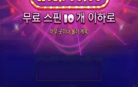 슈가1000