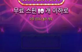 슈가1000