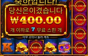 불소 바닥 50스핀