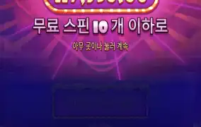 슈가1000