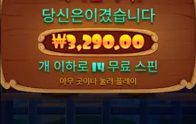 개집 바닥보다도 못하네