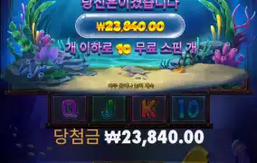 상어 뻥배수 너무해