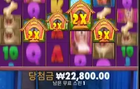 오구 댕댕이들아~