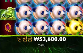 팬더는 한방이있지