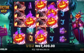 호박이가넝쿨째로~ㅎ