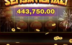 타이거 트레져스