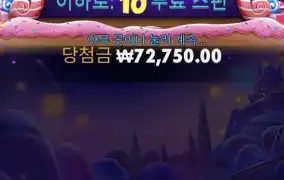 스위트 보난자 다이스