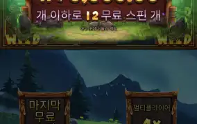 바이슨 어떤데!