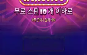 슈가1000