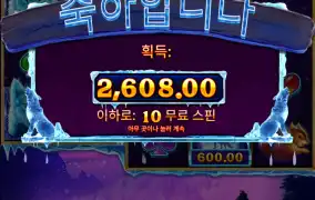 훗카이도 노와일드