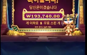 냥이484배