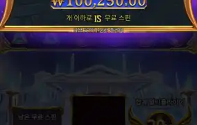 올푸1000