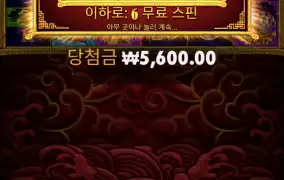 오늘도 대강 10콩 날림