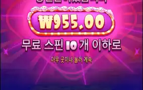 뭘 축하하는거야