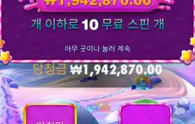 스위트 보난자 19428배