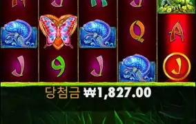 판다 쓰담쓰담...