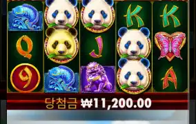 판다2는 나랑 사대가 안맞아