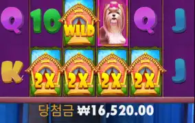 불독 어디갔니?