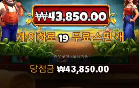 바니야드 메가헤이스 메가웨이즈