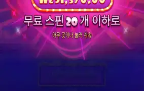 슈가1000