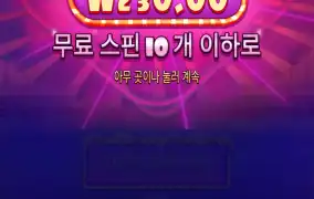 슈가1000